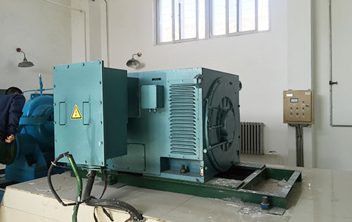 黎平某水电站工程主水泵使用我公司高压电机一年质保