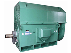 黎平Y系列6KV高压电机